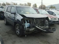 2009 HONDA PILOT EX 5FNYF384X9B016442