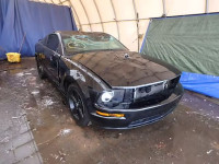 2007 FORD MUSTANG GT 1ZVHT82H775261986