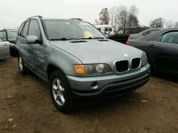 2002 BMW X5 3.0I 5UXFA53572LP44156