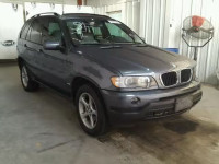 2002 BMW X5 3.0I 5UXFA53562LP39370