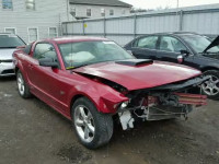 2007 FORD MUSTANG GT 1ZVFT82H275218972