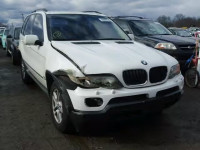 2005 BMW X5 3.0I 5UXFA13555LY00494