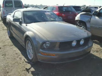 2005 FORD MUSTANG GT 1ZVFT82H855193279