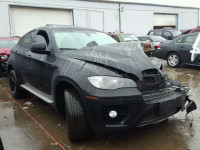 2009 BMW X6 5UXFG83589LZ92491