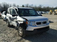 2010 HONDA ELEMENT LX 5J6YH1H36AL001356