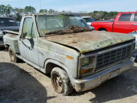 1981 FORD F100 1FTCF10E2BNA95812