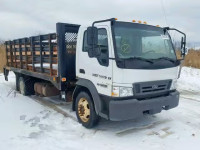 2009 FORD LOW CAB FO 3FRLL45Z39V139338