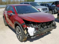 2019 LEXUS NX 300 JTJYARBZ4K2123711