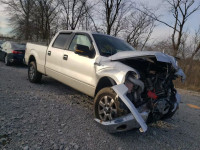 2013 FORD F150 CREW 1FTFW1EF6DFB55330