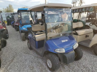 2009 GOLF CART 5074021