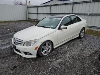 2010 MERCEDES-BENZ 300-CLASS WDDGF8BB8AF435461