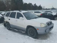 2004 HYUNDAI SANTA FE KM8SB13DX4U620081