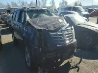 2010 CADILLAC ESCALADE P 1GYUCCEF2AR248913