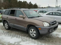 2006 HYUNDAI SANTA FE KM8SB12B16U045047