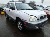 2001 HYUNDAI SANTA FE KM8SB82B11U091513