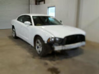 2013 DODGE CHARGER PO 2C3CDXAG7DH610389