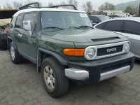 2010 TOYOTA FJ CRUISER JTEZU4BF4AK008849