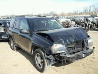 2009 CHEVROLET TRAILBLAZE 1GNDS33SX92110721