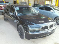 2004 BMW 745LI WBAGN63404DS46821