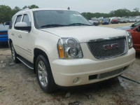 2010 GMC YUKON DENA 1GKUCEEFXAR118366