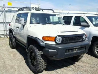 2010 TOYOTA FJ CRUISER JTEBU4BF3AK086797