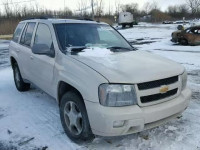 2009 CHEVROLET TRAILBLAZE 1GNDS33S992106255