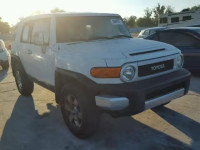 2010 TOYOTA FJ CRUISER JTEBU4BF0AK085106