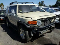 2010 TOYOTA FJ CRUISER JTEZU4BF6AK008562