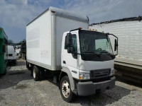 2007 FORD CAB FORW 4 3FRLL45Z97V634253