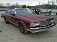1989 CHEVROLET CAPRICE CL 1G1BN51E5KR142742