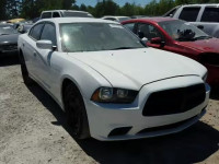 2014 DODGE CHARGER PO 2C3CDXAT4EH279169