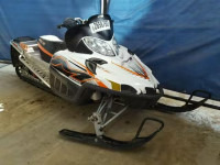 2010 ARTC SNOWMOBILE 4UF10SNW2AT117665