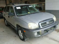 2001 HYUNDAI SANTA FE KM8SB82B71U023765