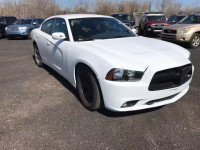 2013 DODGE CHARGER PO 2C3CDXAT6DH564941