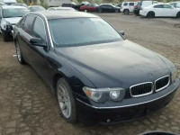 2002 BMW 745LI WBAGN634X2DR04934