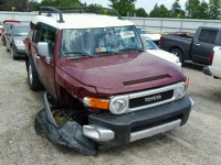 2010 TOYOTA FJ CRUISER JTEBU4BF1AK092369