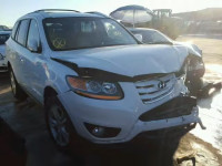 2010 HYUNDAI SANTA FE L 5NMSK4AG9AH335071