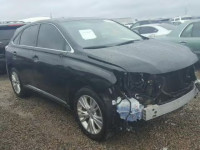 2012 LEXUS RX 450 JTJZB1BAXC2406810