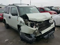 2010 HONDA ELEMENT LX 5J6YH1H38AL000841