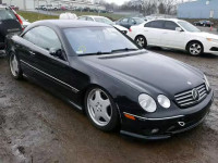 2001 Mercedes-benz Cl 600 WDBPJ78J21A012582