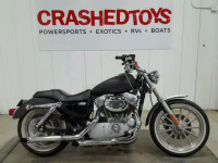 2005 HARLEY-DAVIDSON XL883 C 1HD4CJM175K441569