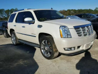 2013 CADILLAC ESCALADE L 1GYS3BEF2DR228358