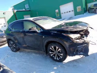 2019 LEXUS NX 300 JTJBARBZ7K2184590