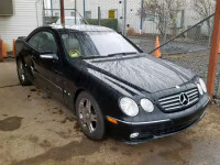 2003 MERCEDES-BENZ CL 500 WDBPJ75J93A035364