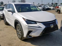 2019 LEXUS NX 300 JTJYARBZ0K2121891