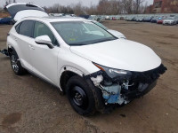 2016 LEXUS NX 300H JTJBJRBZ6G2035871