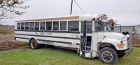 1996 FORD BUS CHASSI 1FDXB80C2TVA25048