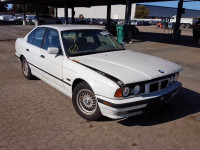1995 BMW 530 I AUTO WBAHE2329SGE92549