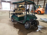 2010 GOLF CART 2687077