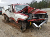 1984 FORD BRONCO U10 1FMEU15H6ELA92425